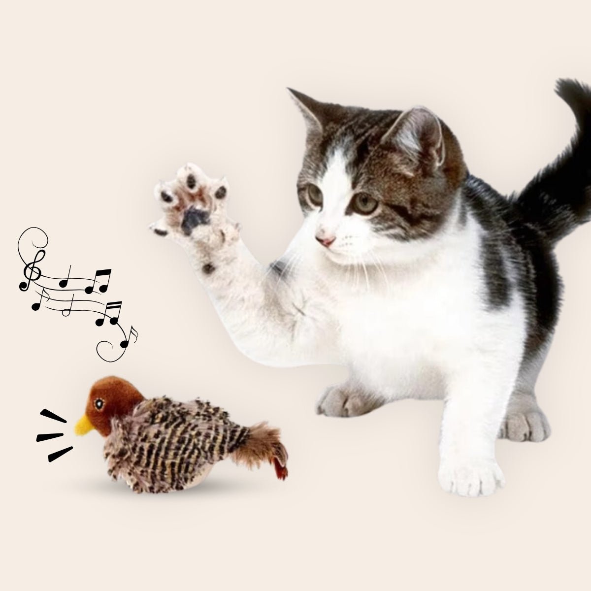CharmPaws™ Realistische Simulatie Vogel voor Katten - CharmPaws