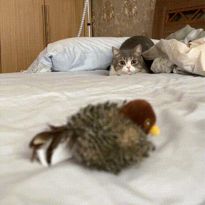 Paws™ Realistische Simulatie Vogel voor Katten
