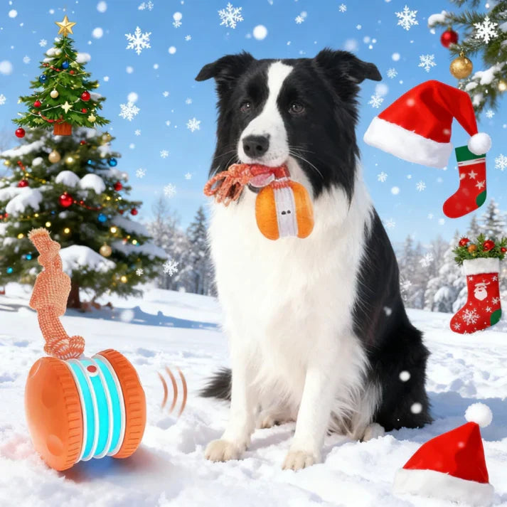 🐶The YOBENSUN™ – Keep Your Pet Relaxed, Happy & Content 🐾